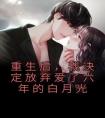 重生后，我决定放弃爱了六年的白月光精品小说