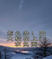 怎么办！四大校花上门求负责畅销巨作