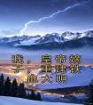 我，皇帝嫡子，重建铁血大明完整阅读