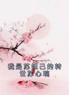 我是苏妲己的转世苏心璃精选小说