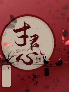 寸君心全文阅读