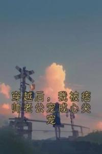 穿越后，我被痞帅老公宠成心尖宠优秀文集
