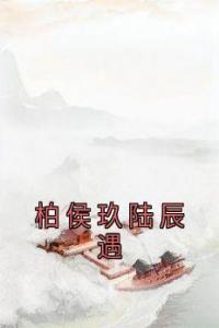 柏侯玖陆辰遇畅销巨著