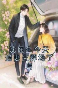 沈医生今天追妻火葬场了吗完整文集阅读