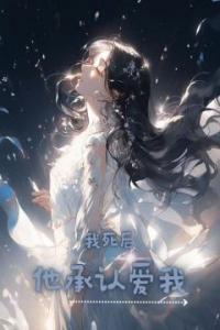 我死后他承认爱我精品阅读