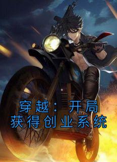 穿越：开局获得创业系统免费看