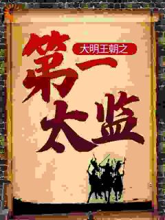 大明王朝之第一太监全集小说