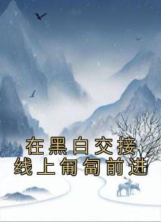 在黑白交接线上匍匐前进精选小说推荐