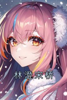 林澄宋桥精选小说