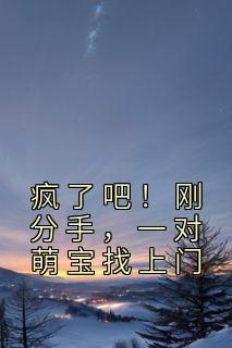 疯了吧！刚分手，一对萌宝找上门全章阅读