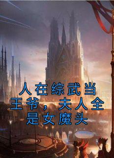 人在综武当王爷，夫人全是女魔头畅销小说推荐
