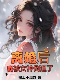 九个绝色未婚妻都在等着我离婚全集小说