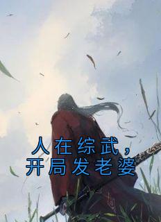 人在综武，开局发老婆完整文本