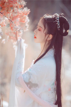 都市狂龙之执观神最新热门小说
