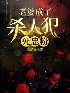 老婆成了杀人犯死忠粉完整文本