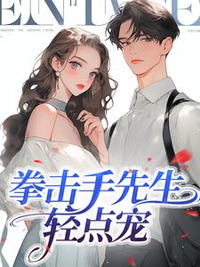 拳击手先生，轻点宠畅销小说推荐