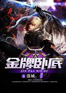 金牌卧底全集小说