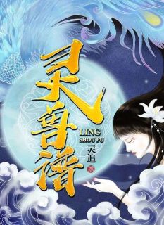 灵兽谱精品小说