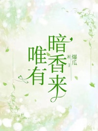 唯有暗香来精品小说