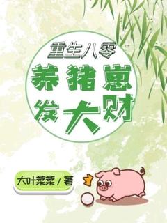 重生八零：养猪崽发大财最新热门小说