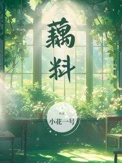 藕料精品阅读