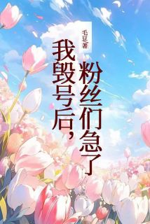 我毁号后，粉丝们急了长篇小说