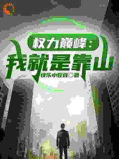 权力巅峰：我就是靠山长篇小说