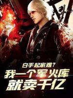 白手起家难？我一个军火库就卖千亿完整阅读