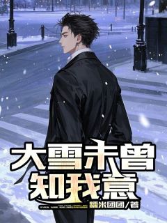 大雪未曾知我意长篇小说