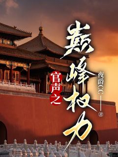 官途：权势巅峰畅销小说推荐