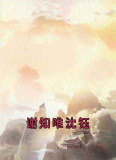 谢知唯沈钰长篇小说