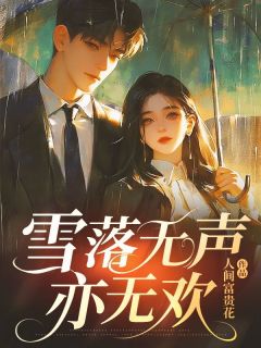 雪落无声亦无欢全文阅读