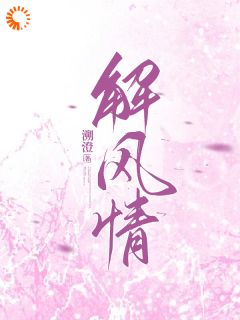 解风情精品小说
