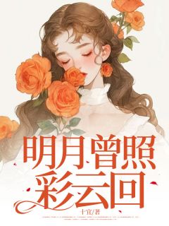 明月曾照彩云回畅销巨著
