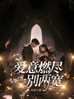 爱意燃尽，一别两宽精选小说