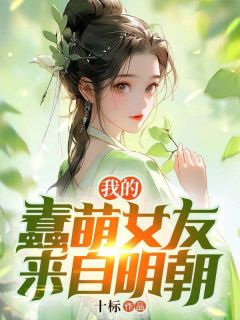 我的蠢萌老婆来自明朝全文阅读