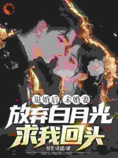 退婚后，未婚妻放弃白月光求我回头精选小说推荐