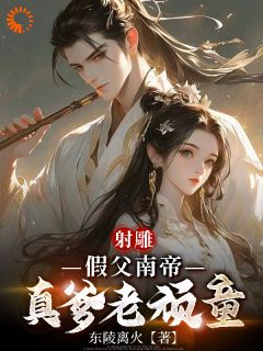 重生射雕：我就是武林一霸精选小说