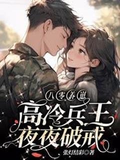 八零养崽，高冷兵王夜夜破戒长篇小说