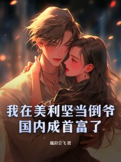 我在美利坚当倒爷，国内成首富了精选小说