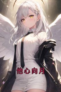 他心向月优秀文集