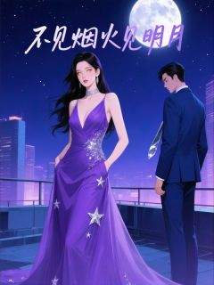 不见烟火见明月完整版